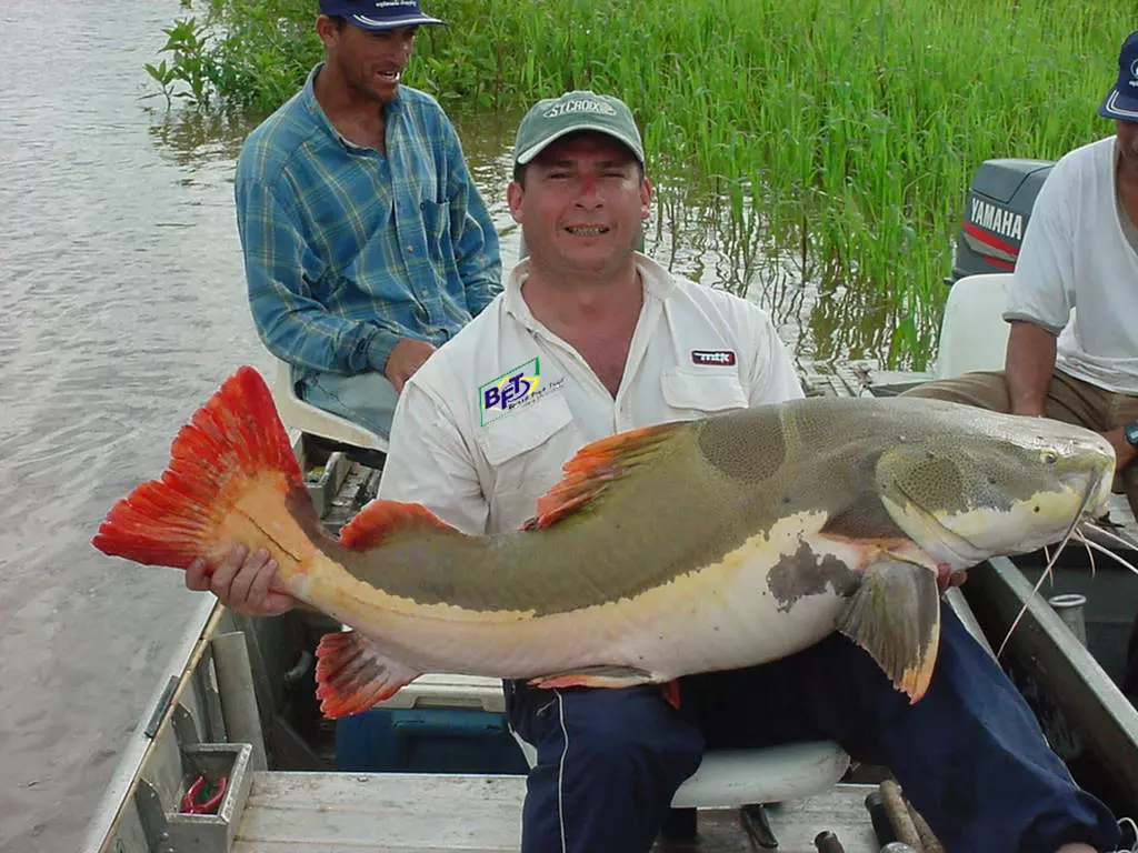 RIO ARAGUAIA TEMPORADA 2025